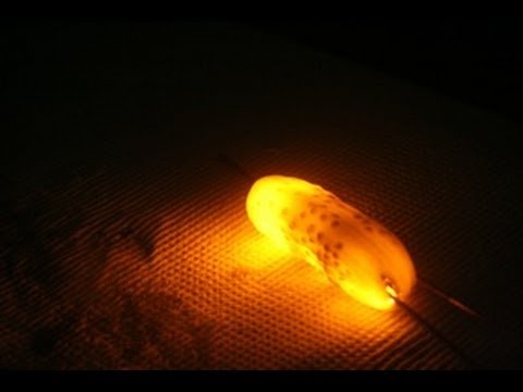Glowing Electric Pickle! - UCe_vXdMrHHseZ_esYUskSBw