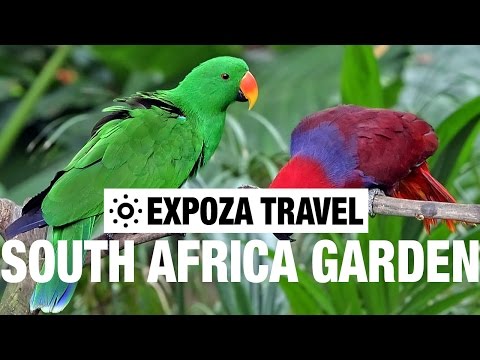 South African Garden Route Vacation Travel Video Guide - UC3o_gaqvLoPSRVMc2GmkDrg