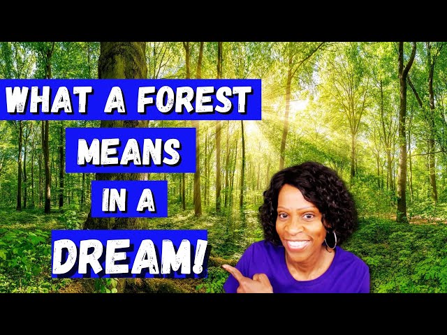 What Does It Mean To Dream About A Forest?