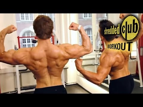 Jeff seid chest and triceps Jeff seid chest and triceps