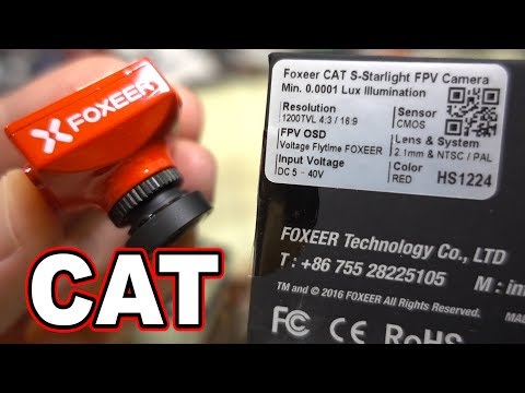 Foxeer CAT Starlight FPV Camera Review  - UCnJyFn_66GMfAbz1AW9MqbQ