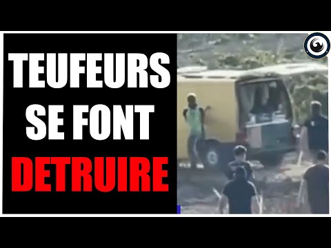LES VITICULTEURS DEGLINGUENT LES TEUFEURS D'UNE RAVE SUR LES LIEUX INCENDIES DE LEURS VIGNES