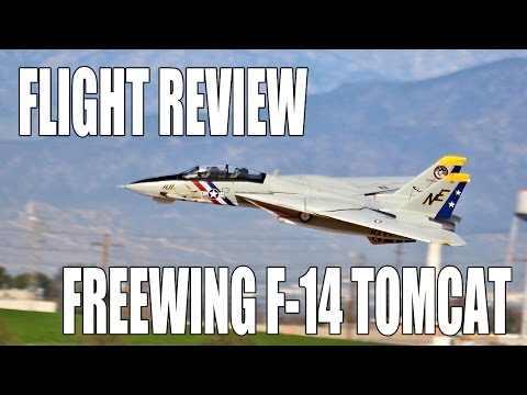 Flight Review, Setup, & Programming -- Freewing F-14 Tomcat (Twin 80mm EDF) - UC5q8ss88jxwMlHf_A-XZGlA