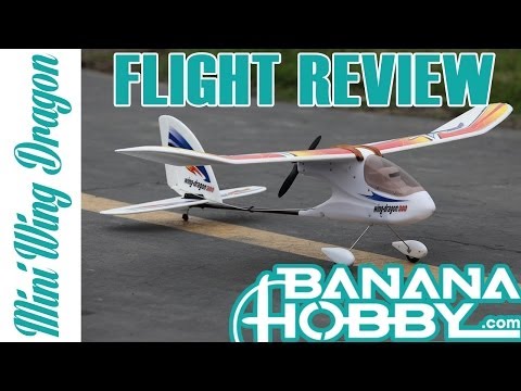 Mini Wing Dragon Art-Tech | Flight Review | Flight Trainer - UCUrw_KqIT1ZYAeRXFQLDDyQ