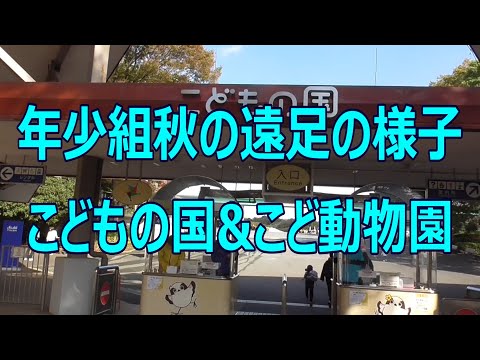 年少組 秋の遠足『こどもの国・こども動物園』の様子ダイジェスト