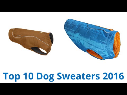 10 Best Dog Sweaters 2016 - UCXAHpX2xDhmjqtA-ANgsGmw