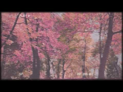 makko - zip bag [chill & lofi]