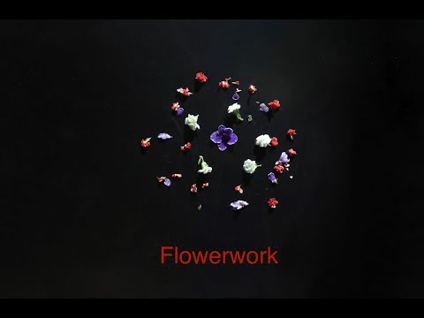 Compact flowerwork, 30 sec., 8 shots