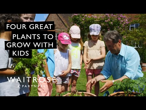 Alan Titchmarsh's Summer Garden | Four Great Plants to Grow With Kids | Waitrose - UCFNJOpACpCFRH_Fm_66L3iw