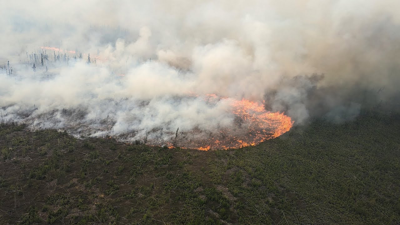 Wildfire threats in Saskatchewan depleting after recent rainfall