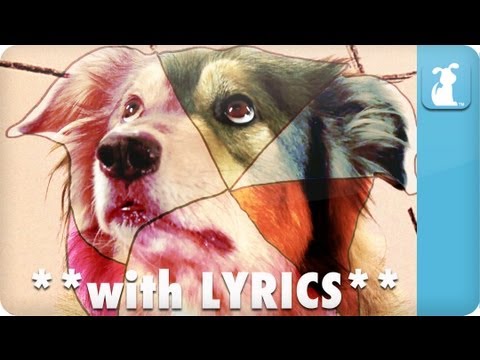 Gotye Dog Parody - Some Doggy That I Used To Know **with LYRICS** - UCPIvT-zcQl2H0vabdXJGcpg