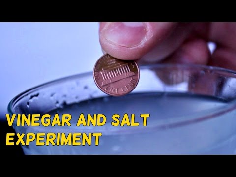 Vinegar and Salt Experiment - UCe_vXdMrHHseZ_esYUskSBw