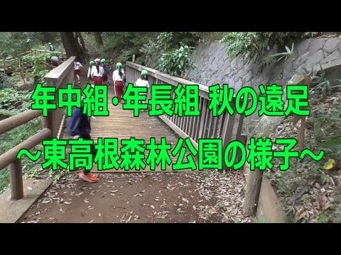 年中組・年長組 秋の遠足『東高根森林公園』の様子
