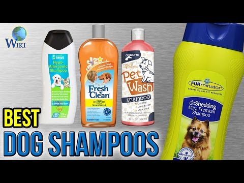 10 Best Dog Shampoos 2017 - UCXAHpX2xDhmjqtA-ANgsGmw