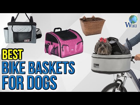 10 Best Bike Baskets For Dogs 2017 - UCXAHpX2xDhmjqtA-ANgsGmw