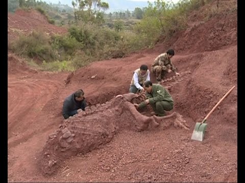 180 mln-year-old dinosaur fossils discovered in SW China - UCHBDXQDmqnaqIEPdEapEFVQ