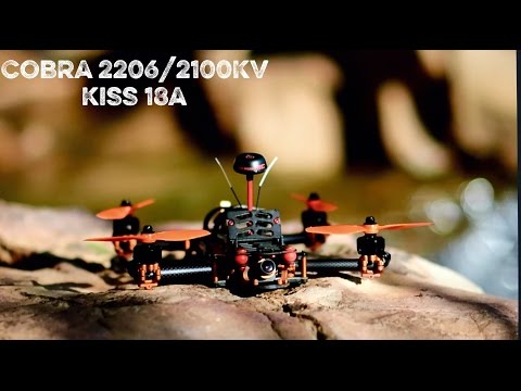 Supercharged Vortex | Cobra 2206/2100KV&18a Kiss - UCRaDF3neMw_FG_QfhZ35RTg