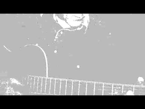 Crash Test Dummies - At My Funeral