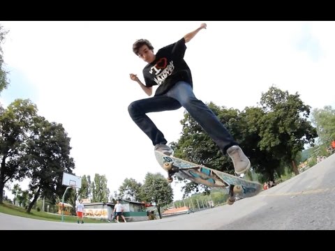 DOLPHIN FLIP SKATE SUPPORT - UC9PgszLOAWhQC6orYejcJlw