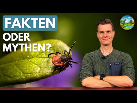 Zecken-Panik? Häufige Irrtümer & Reale Lösungen auf Tour