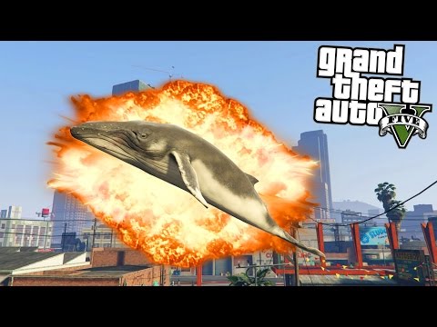 FUNNY ANIMAL MODS! (GTA 5 Funny Moments) - UC2wKfjlioOCLP4xQMOWNcgg