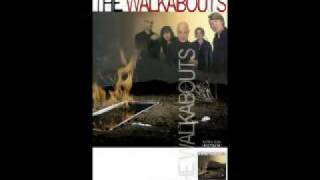 The Walkabouts - Devil in the details - Jack Wolfskin