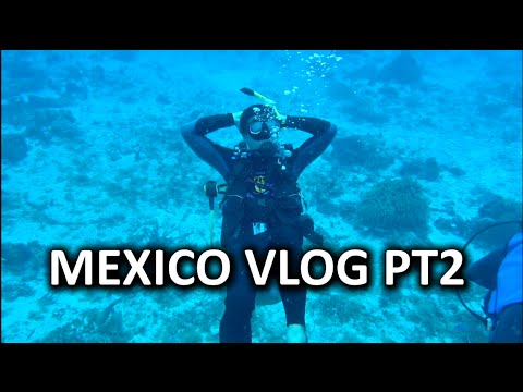 Mexico "Work-cation" Vlog - THE SEQUEL! - UCXuqSBlHAE6Xw-yeJA0Tunw