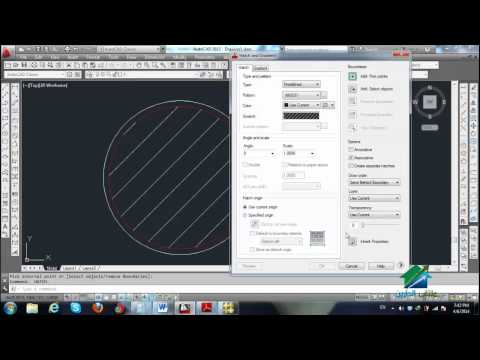 الأعمدة | أكاديمية الدارين | محاضرة 18