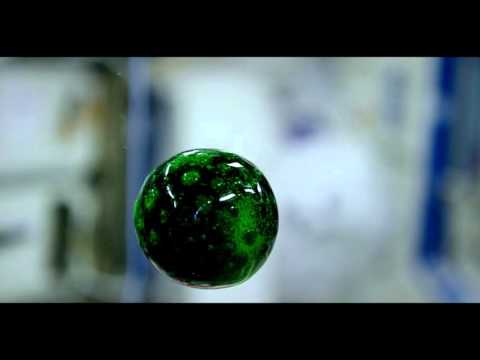 4K Video of Colorful Liquid in Space - UCmheCYT4HlbFi943lpH009Q