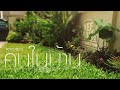 MV เพลง คนในบ้าน - NEFHOLE