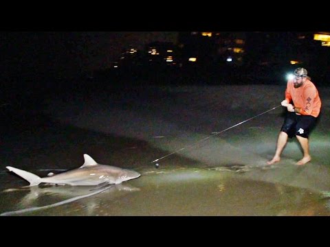 Shark Fishing Battle | Dude Perfect - UCRijo3ddMTht_IHyNSNXpNQ