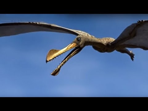 Reptiles of the Skies | Walking with Dinosaurs in HQ | BBC - UCwmZiChSryoWQCZMIQezgTg