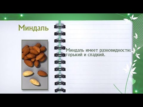 Кулинарная энциклопедия - Миндаль - UC7XBjhXnmmXFsxmnys9PmDQ