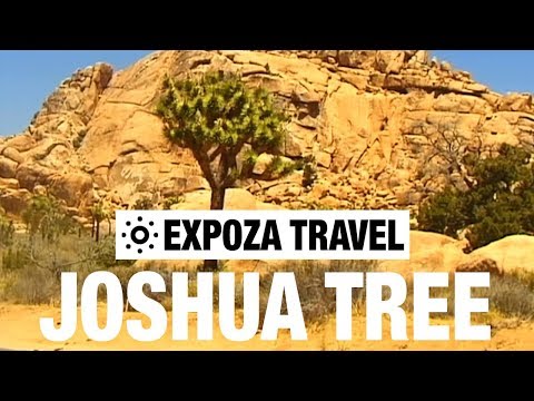 Joshua Tree (USA) Vacation Travel Video Guide - UC3o_gaqvLoPSRVMc2GmkDrg