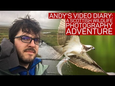 How I battled the elements to capture Scotland's wildlife on camera - UCOmcA3f_RrH6b9NmcNa4tdg