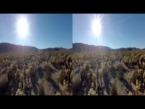 3D FPV Quadcopter - Joshua Tree Cactus Garden - UC8SRb1OrmX2xhb6eEBASHjg