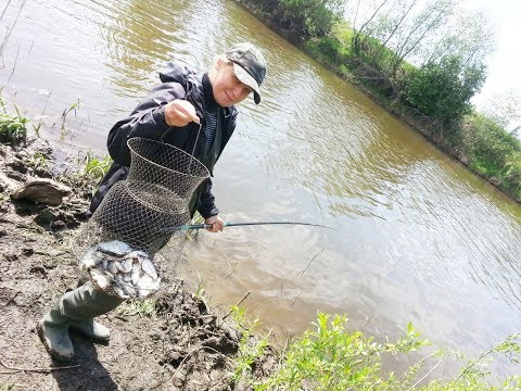 Весенняя плотва на поплавок видео Весенняя плотва на поплавок видео