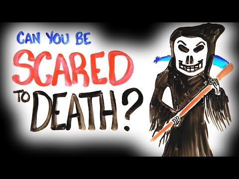 Can You Be Scared To Death? - UCC552Sd-3nyi_tk2BudLUzA