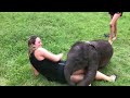 Baby Elephant Cuddles