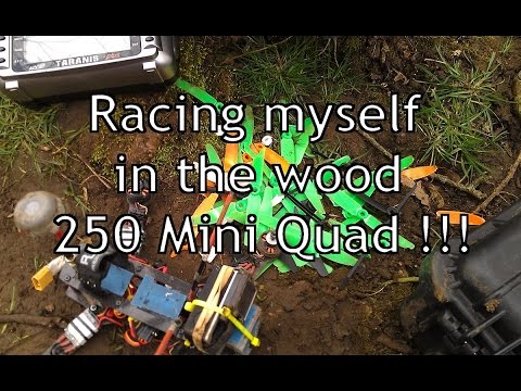 Mini Quad FPV - Fast Flying in the Wood ▪ Oneshot ▪ Cobra 2204 ▪ ZMR250 ▪ FPV Drone Racing - UCQ3OvT0ZSWxoVDjZkVNmnlw