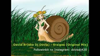 David R (aka Dj Dovis) - Sraiges (Original mix)