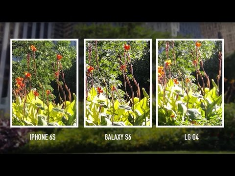 Camera shootout: iPhone 6S vs. Galaxy S6 vs. LG G4 - UCddiUEpeqJcYeBxX1IVBKvQ