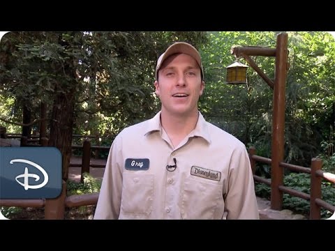 Every Role a Starring Role - Horticulture Planner | Disneyland Resort - UC1xwwLwm6WSMbUn_Tp597hQ