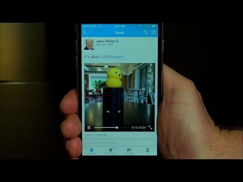 CNET How To - Share videos on Twitter - UCOmcA3f_RrH6b9NmcNa4tdg