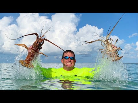 How to {CATCH CLEAN COOK} Lobsters, in totally New Area - Florida Keys