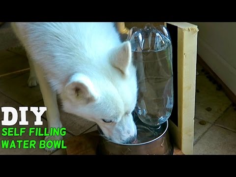 DIY Self Filling Water Bowl for Your Dog - UCe_vXdMrHHseZ_esYUskSBw