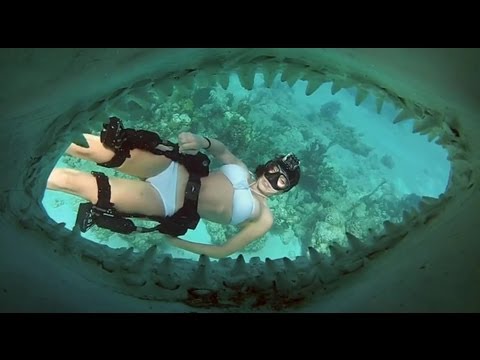 GoPro: Director's Cut - Shark Riders - UCqhnX4jA0A5paNd1v-zEysw