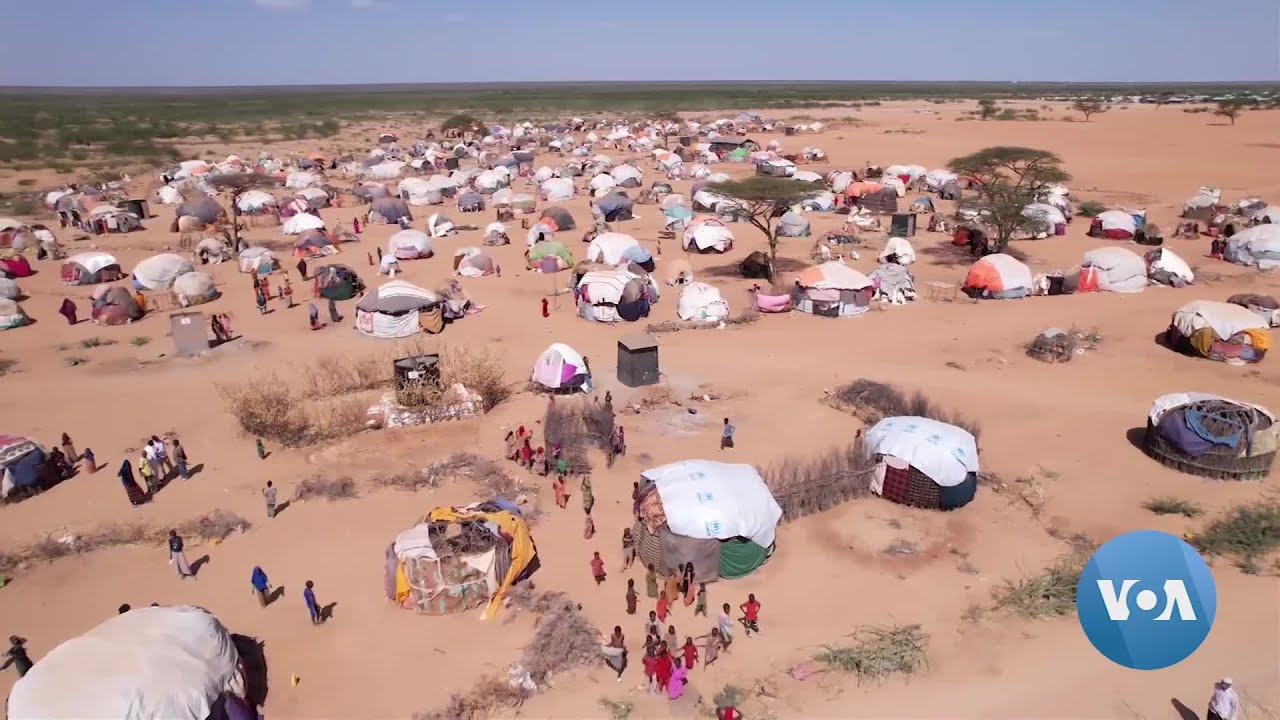 Africa’s Biggest Refugee Camp to Expand as Kenya Approves More Land for Dadaab