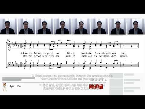 Guter Mond, du gehst so stille (Comedian Harmonists)