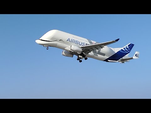 Abflug des Beluga AIRBUS XL mit der Nummer 6 Mit Dem Zwinkerndes Auge Von HH-Finkenwerder ➡️Toulouse